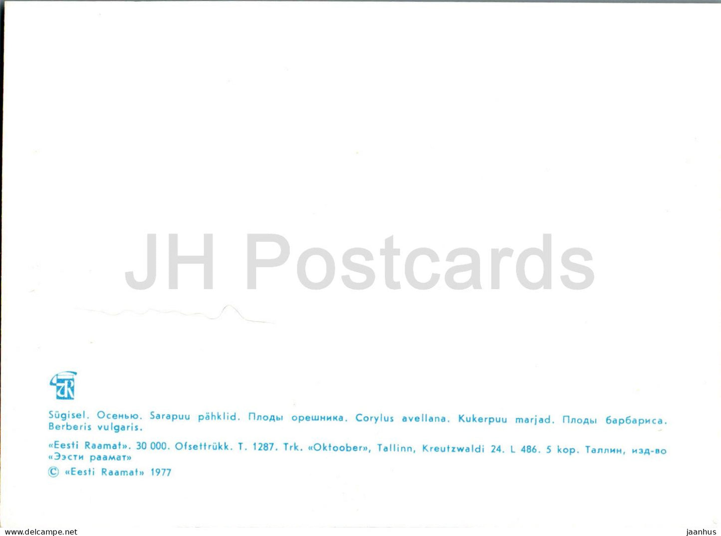 Haselnuss - Corylus avellana - Berberitze - Berberis vulgaris - Pflanzen - 1977 - Estland UdSSR - unbenutzt
