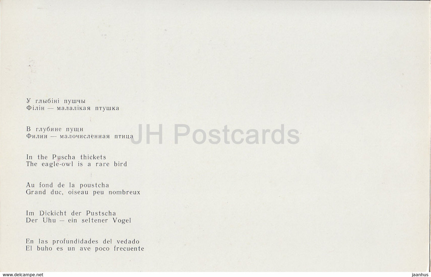 Belovezhskaya Pushcha National Park - In the Puscha thickets - Eurasian eagle-owl - 1981 - Berarus USSR - unused