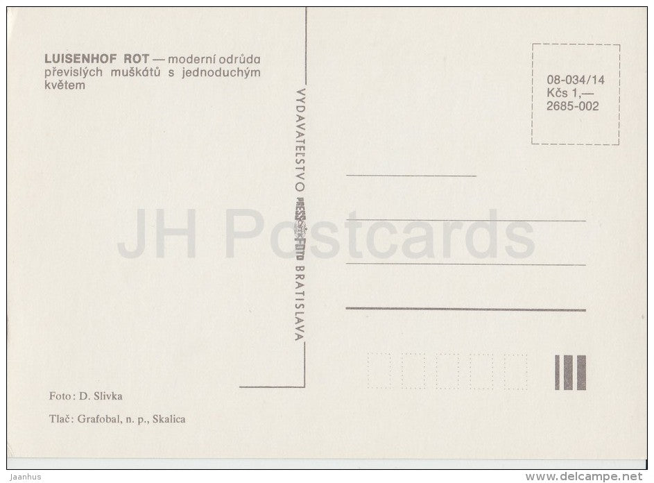 Luisenhof Rot - flowers - Geranium - 1985 - Czech - Czechoslovakia - unused - JH Postcards