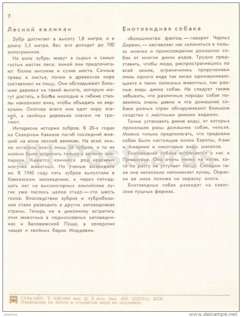 bison - raccoon - children - Nature Encounter - 1973 - Russia USSR - unused - JH Postcards