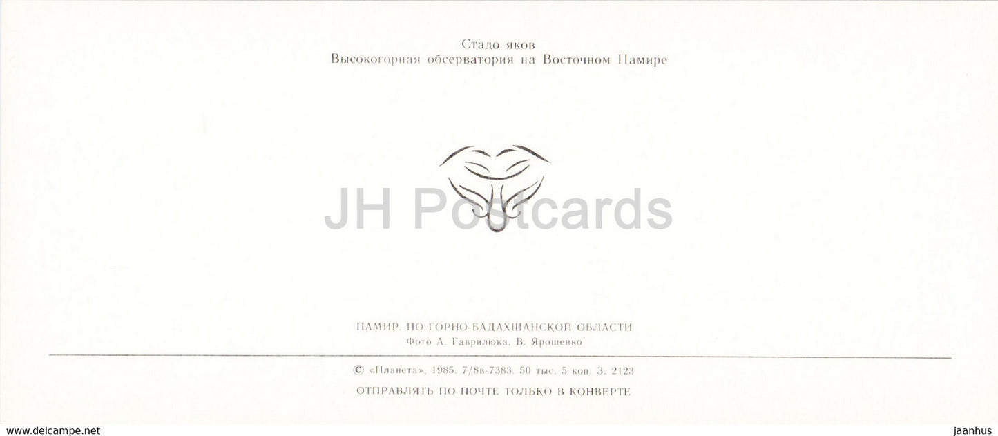 Pamir - Gorno-Badakhshan - herd of yaks - observatory - 1985 - Tajikistan USSR - unused