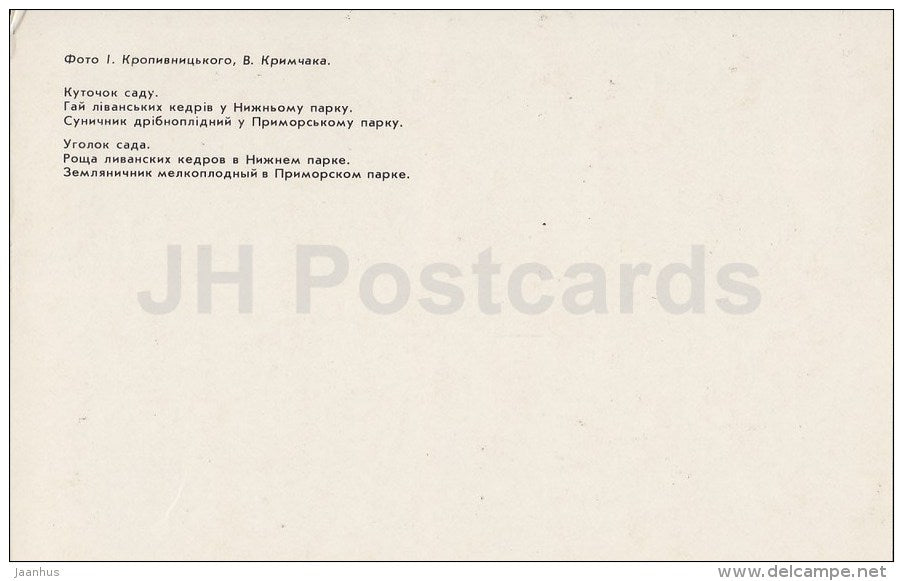 Grove of Lebanese cedars - Nikitsky Botanical Garden - Crimea - 1989 - Ukraine USSR - unused - JH Postcards