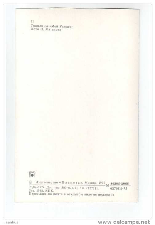 May Wonder - Tulips - flowers - 1975 - Russia USSR - unused - JH Postcards