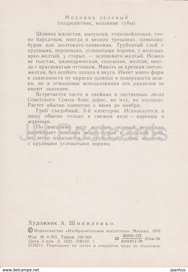 Suede Bolete - Xerocomus subtomentosus - illustration by A. Shipilenko - Mushrooms - 1976 - Russia USSR - unused - JH Postcards