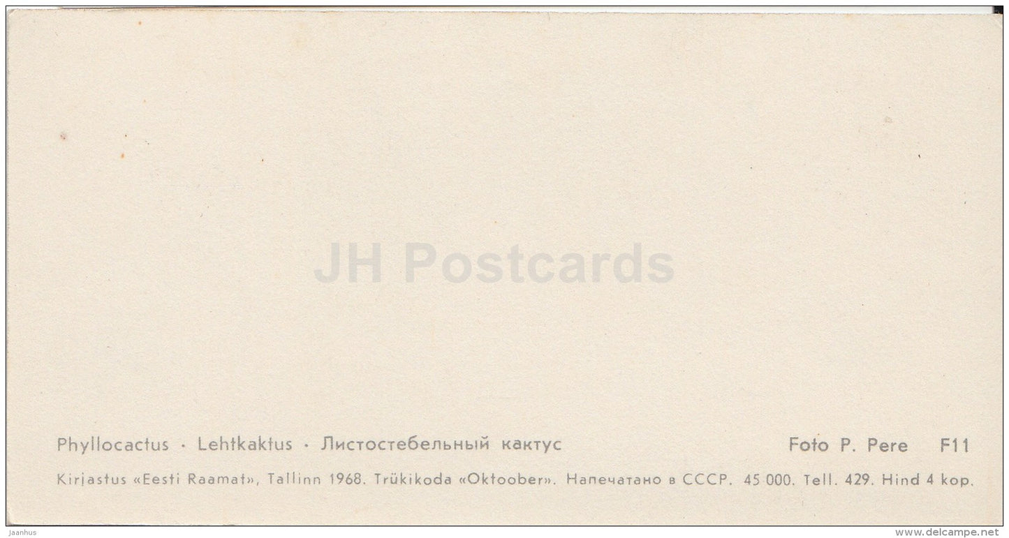 mini Birthday greeting card - Phyllocactus - cactus - flowers - 1968 - Estonia USSR - unused - JH Postcards