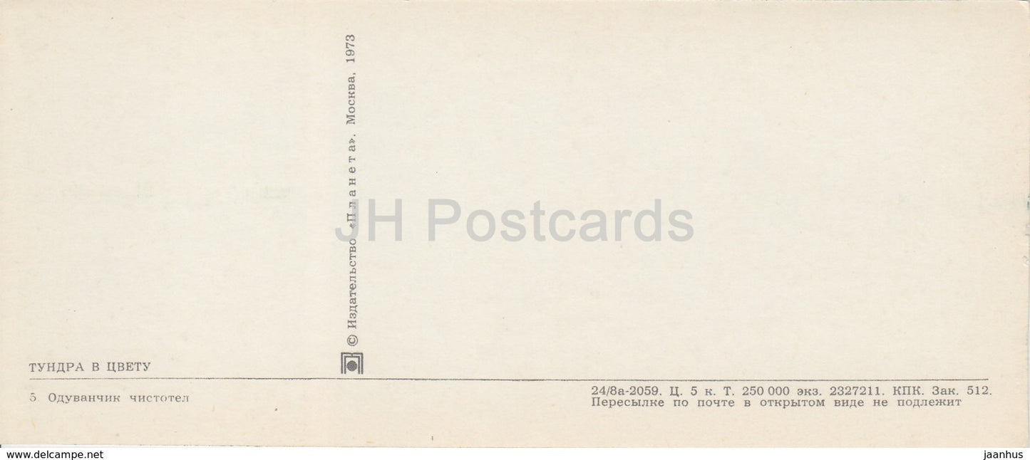 Pissenlit - plantes - bateau - Toundra en fleurs - 1973 - Russie URSS - inutilisé