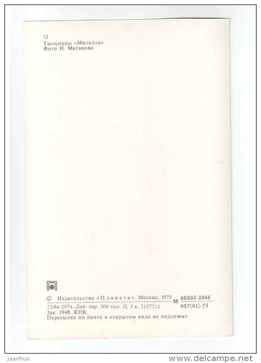 Mitella - Tulips - flowers - 1975 - Russia USSR - unused - JH Postcards