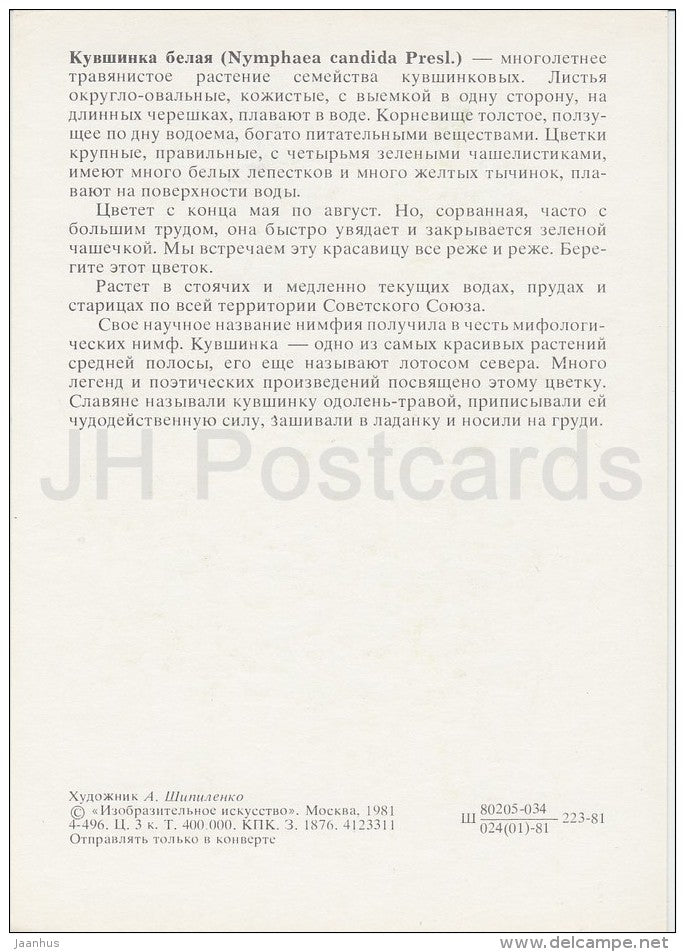 Dwarf waterlily - Nymphaea candida - Plants under protection - 1981 - Russia USSR - unused - JH Postcards
