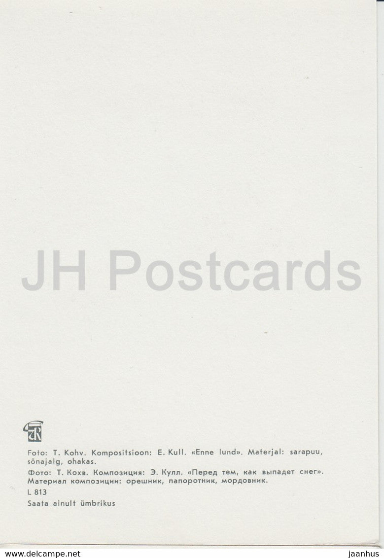 Before The Snow - composition - Flower Art - ikebana - 1981 - Estonia USSR - unused