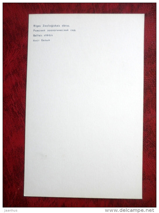 White Crane - birds - Riga Zoo - animals - 1980 - Latvia USSR - unused - JH Postcards