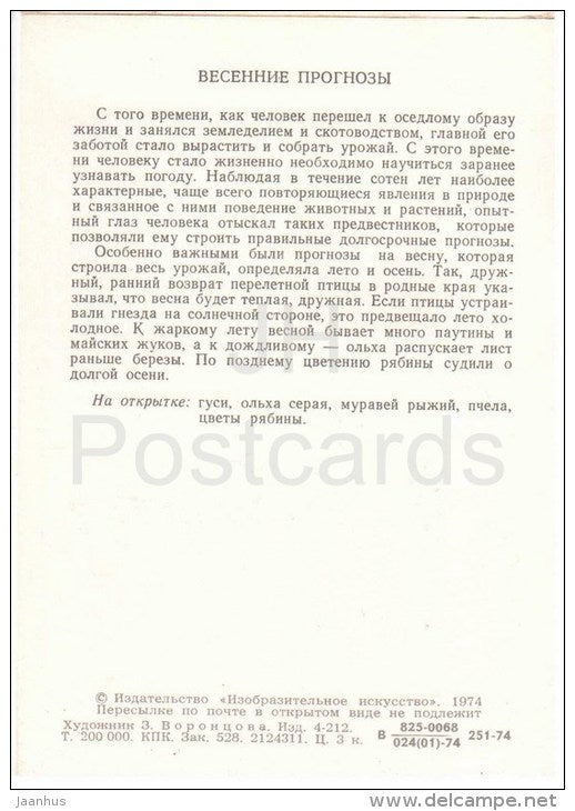 Alder - tree - birds - insects - Spring Forecasts - 1974 - Russia USSR - unused - JH Postcards