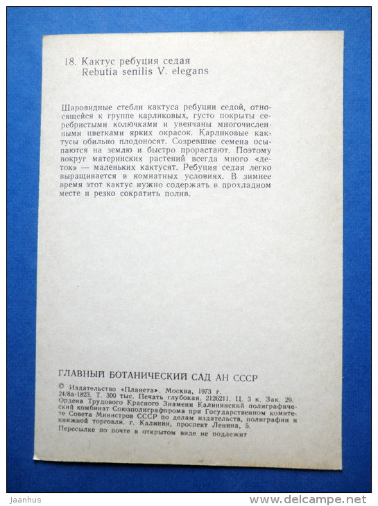 Rebutia senilis V. elegans - cactus - flowers - Botanical Garden of the USSR - 1973 - Russia USSR - JH Postcards