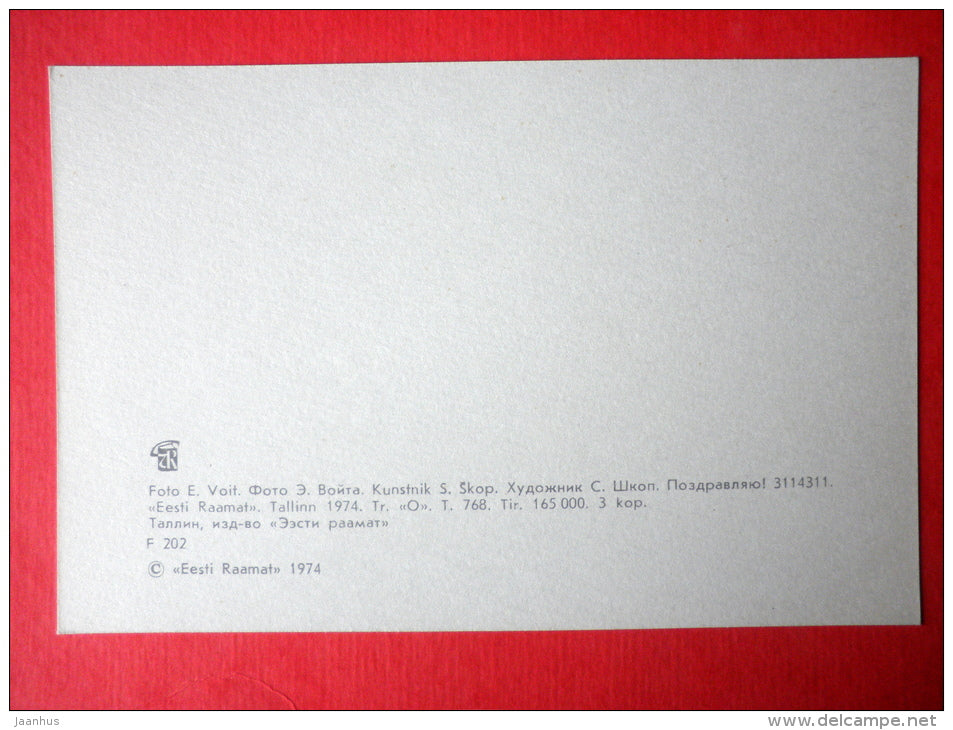 Birthday Greeting Card - flowers - Gerbera - 1974 - Estonia USSR - unused - JH Postcards