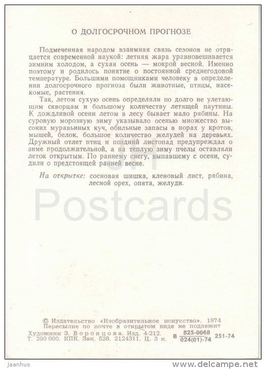 acorns - mushrooms - hazelnut - rowan berries - pine cone - Long-range Forecasters - 1974 - Russia USSR - unused - JH Postcards