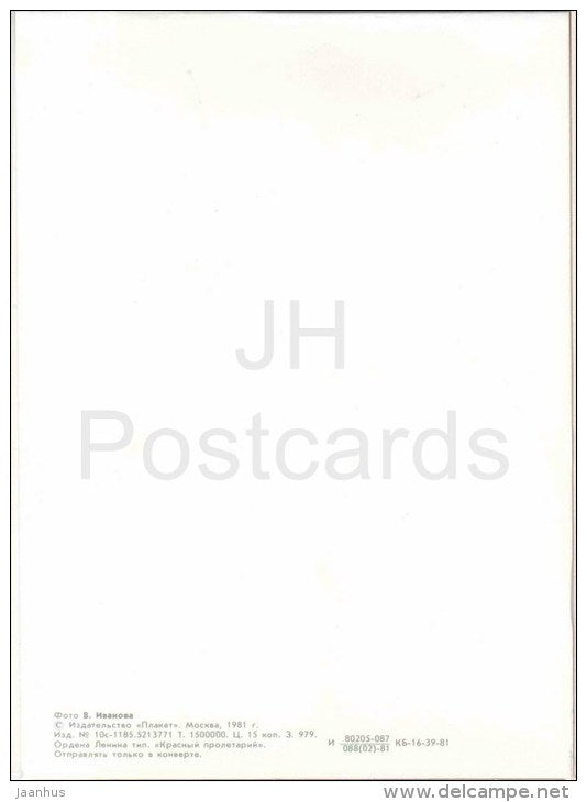 New Year greeting card - winter forest - fir trees - embossed - 1981 - Russia USSR - unused - JH Postcards