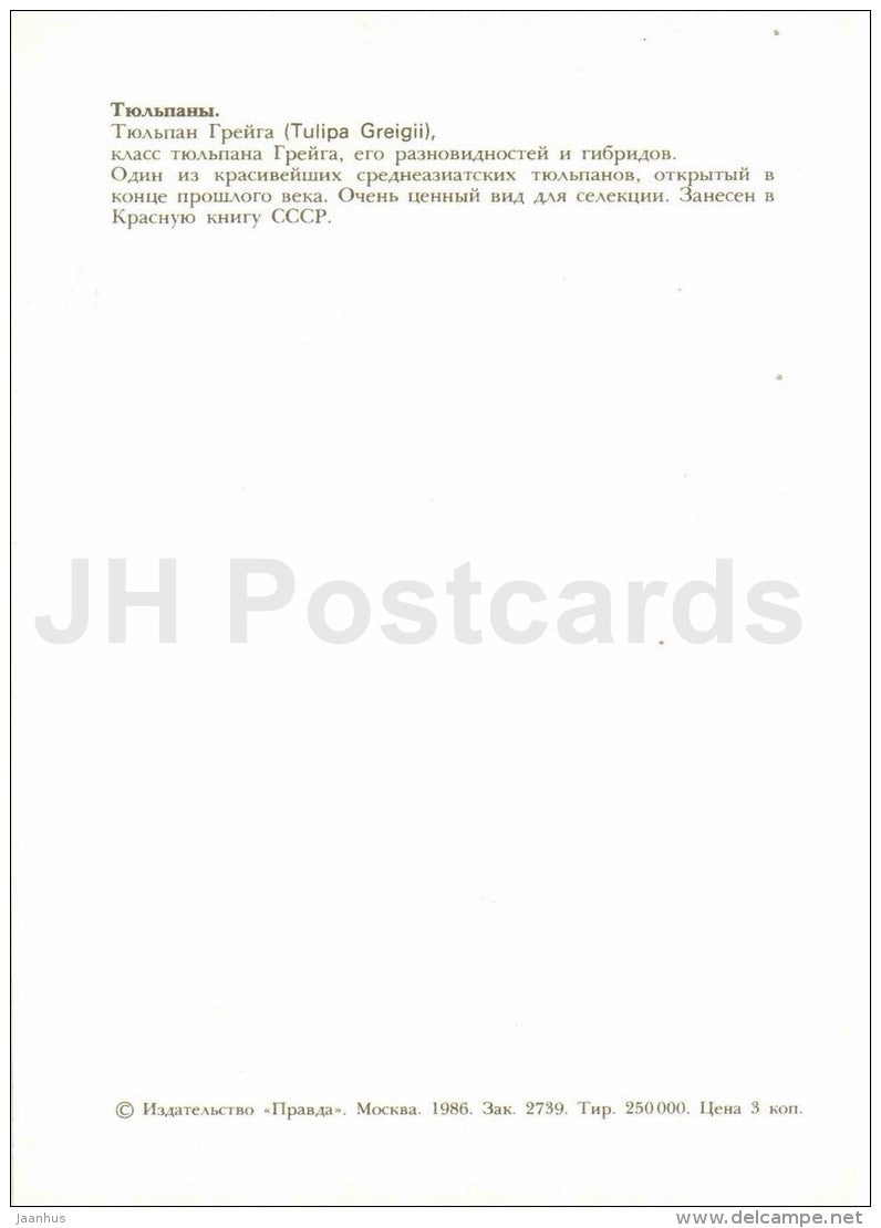 Tulipa Greigii - Tulip - 1986 - Russia USSR - unused - JH Postcards