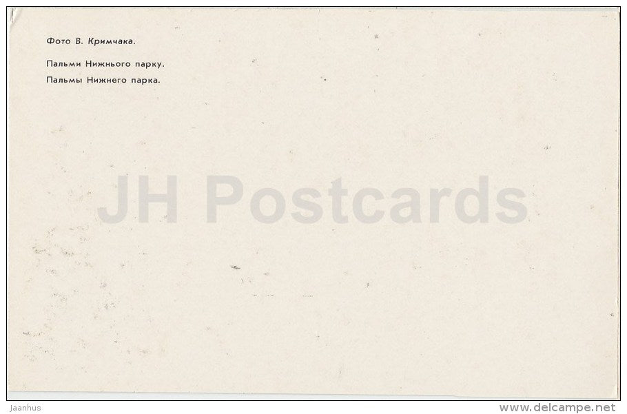 Palms in the Lower Park - Nikitsky Botanical Garden - Crimea - 1989 - Ukraine USSR - unused - JH Postcards
