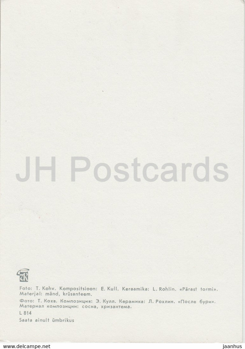 After the Storm - composition - Flower Art - ikebana - 1981 - Estonia USSR - unused