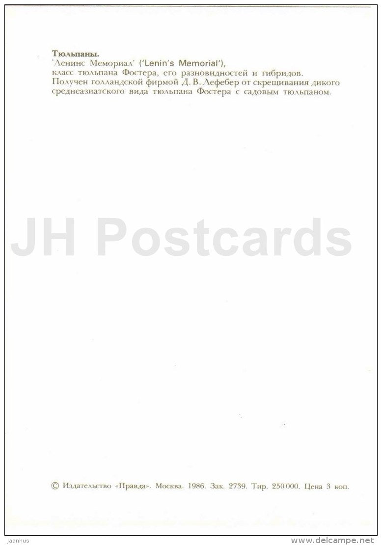 Lenin´s Memorial - Tulip - 1986 - Russia USSR - unused - JH Postcards