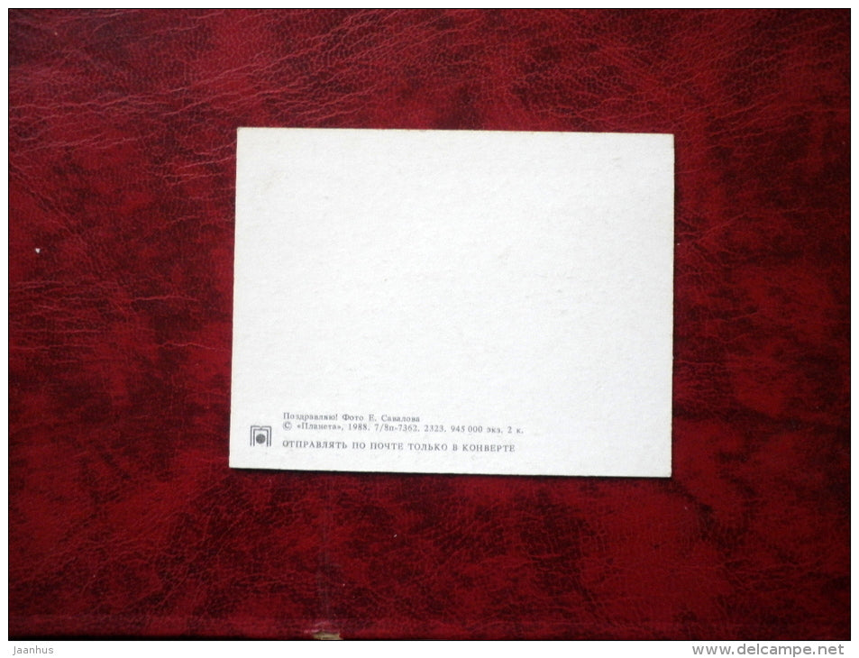 Birthday greeting card - flowers - mini-card - 1988 - Russia - USSR - unused - JH Postcards