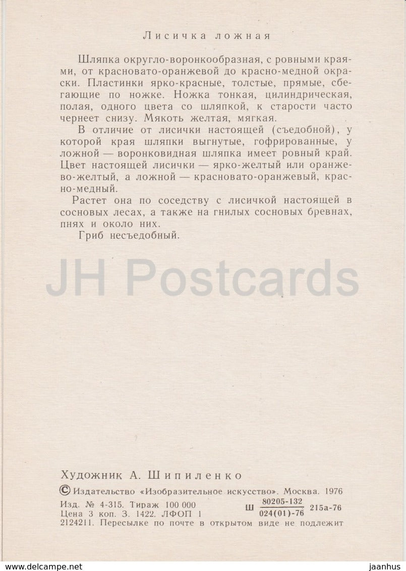 False chanterelle - Hygrophoropsis aurantiaca - illustration by A. Shipilenko - Mushrooms - 1976 - Russia USSR - unused - JH Postcards