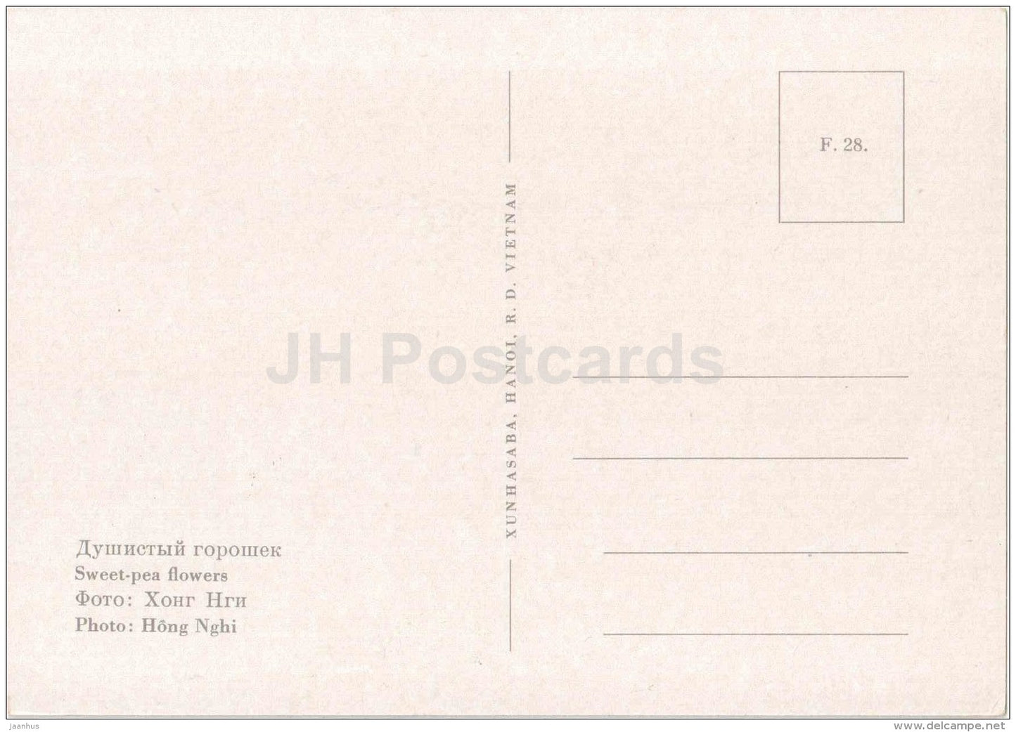 Sweet-pea flowers - flowers - Vietnam - unused - JH Postcards