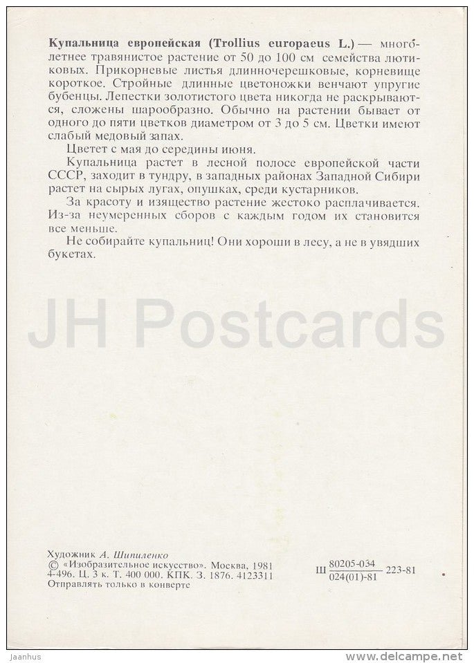 Globeflower - Trollius europaeus - Plants under protection - 1981 - Russia USSR - unused - JH Postcards