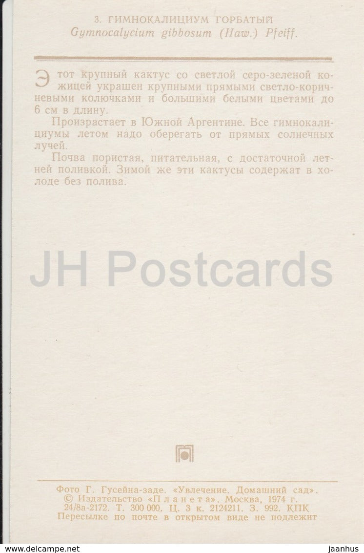 Gymnocalycium gibbosum - cactus - flowers - 1974 - Russia USSR - unused