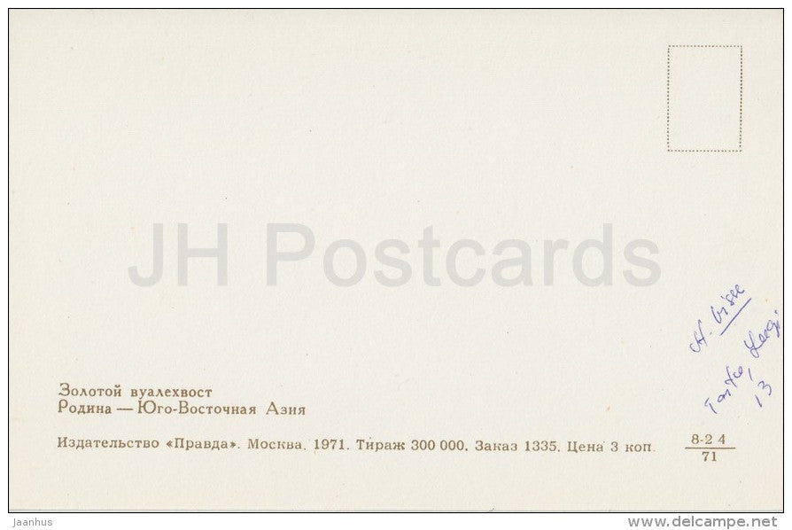 Gold Veil Angelfish - Aquarium Fish - Russia USSR - 1971 - unused - JH Postcards