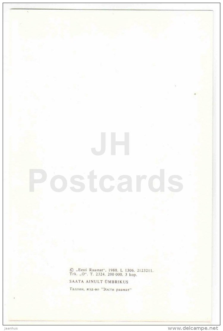 New Year Greeting Card - boy - mai - REPRODUCTION ! - 1988 - Estonia USSR - unused - JH Postcards