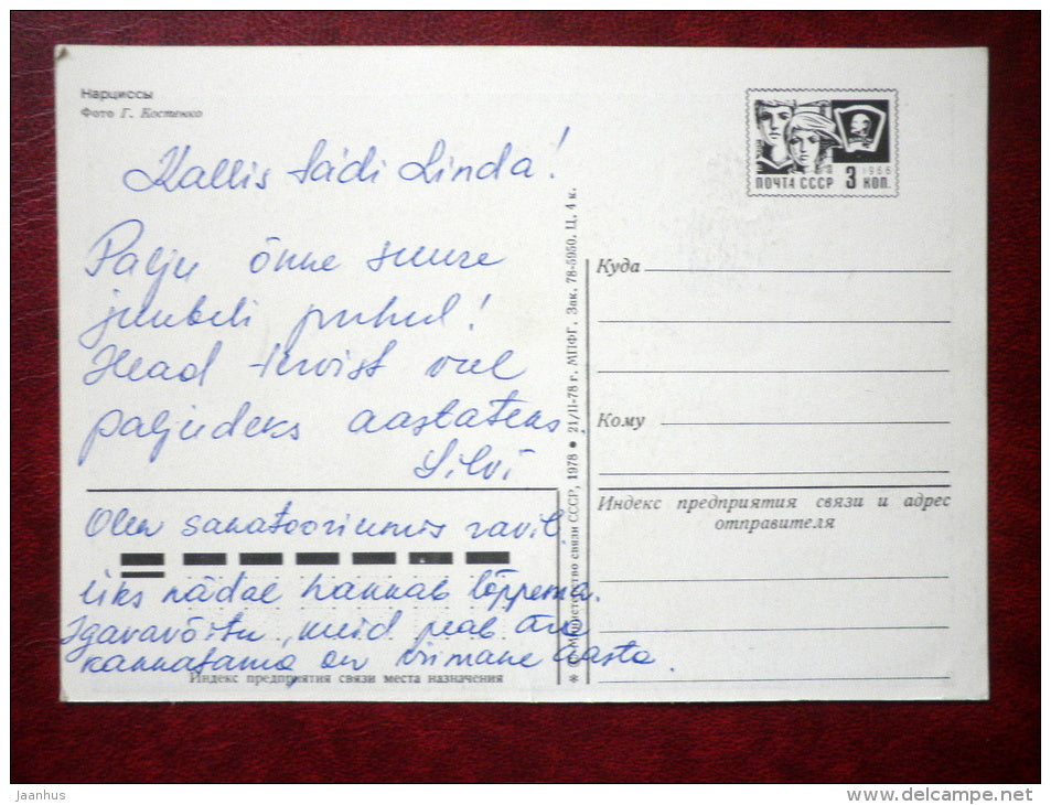 narcissus - flowers - 1978 - Russia USSR - used - JH Postcards