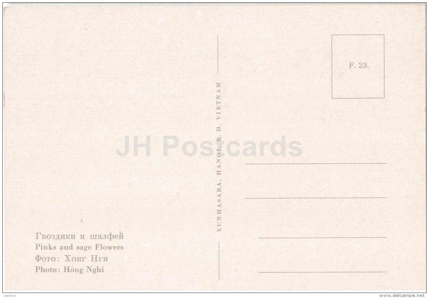 Pinks and Sage flowers - flowers - Vietnam - unused - JH Postcards
