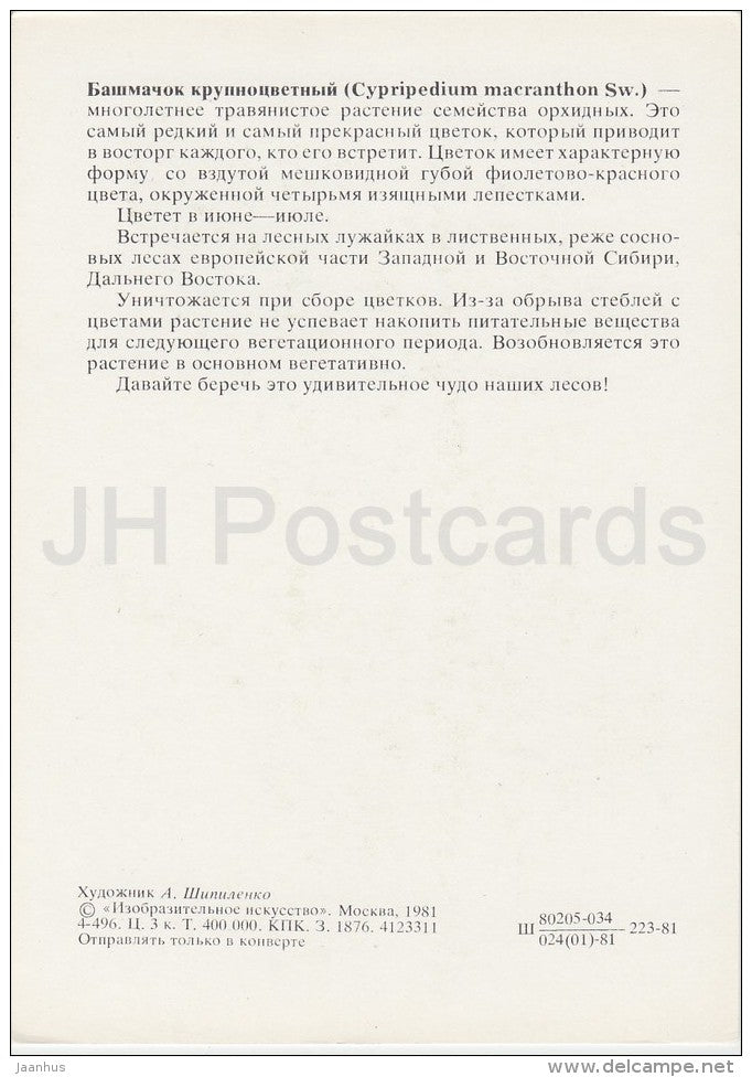 orchid - Cypripedium macranthum - Plants under protection - 1981 - Russia USSR - unused - JH Postcards