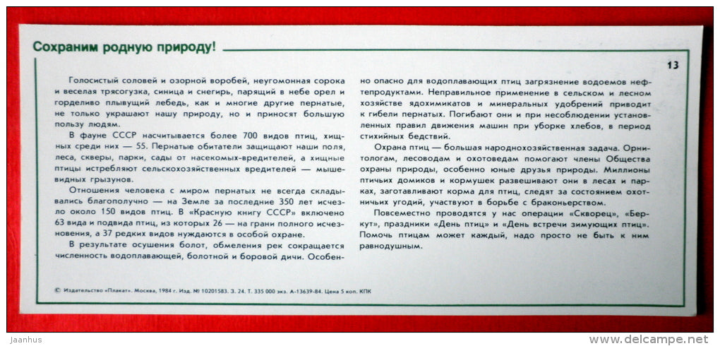 protection of birds - flamingo - duck - Nature Conservation - 1984 - USSR Russia - unused - JH Postcards