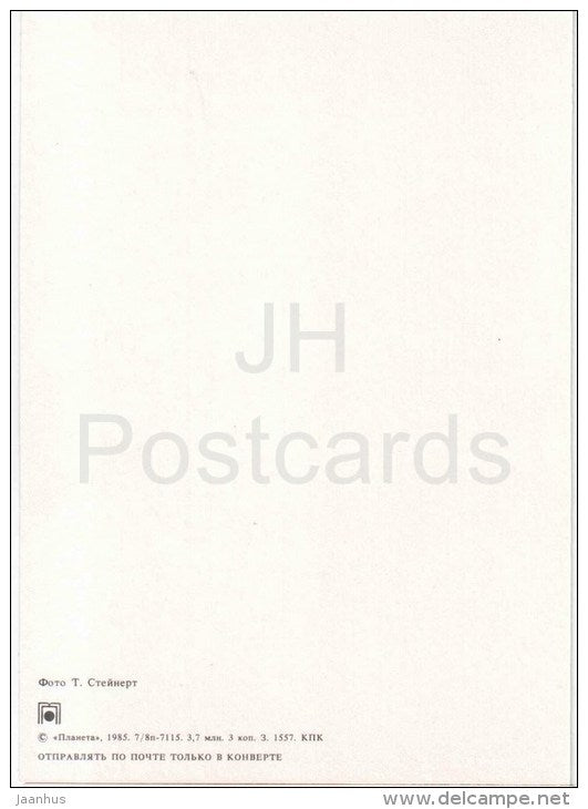 New Year greeting card - red roses - yellow candle - decorations - 1985 - Russia USSR - unused - JH Postcards