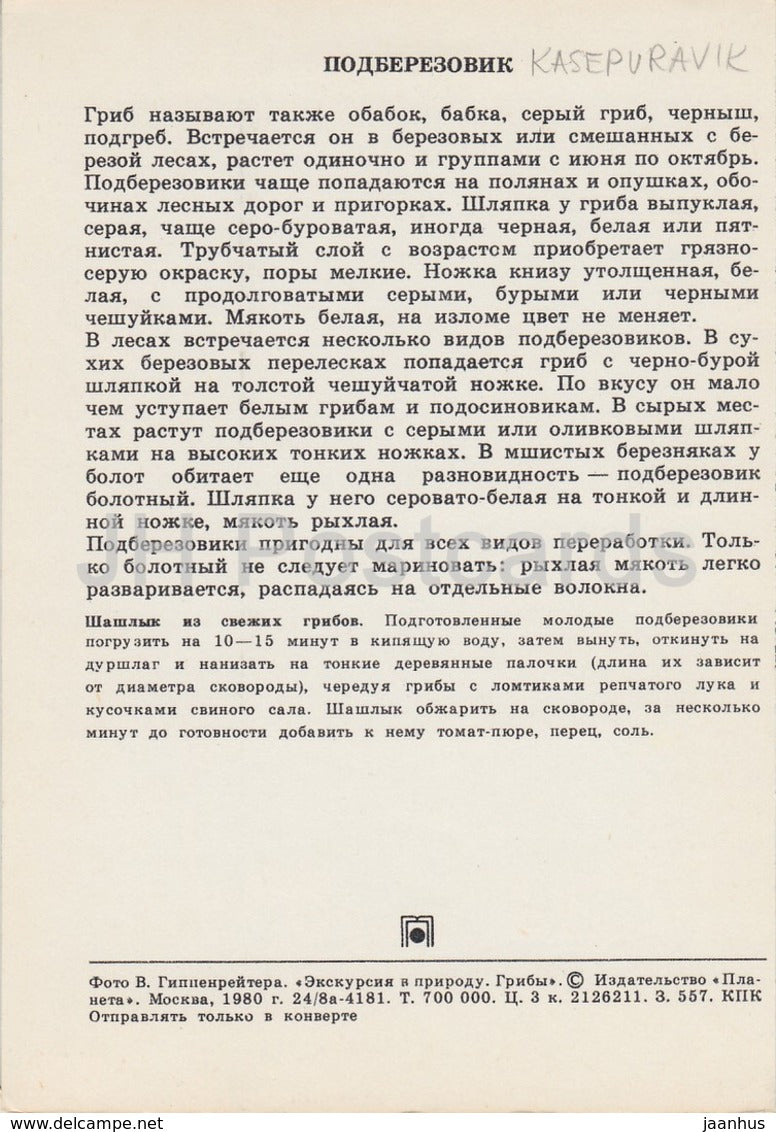 Brown cap boletus Mushroom - Leccinum - Mushrooms - 1980 - Russia USSR - unused - JH Postcards