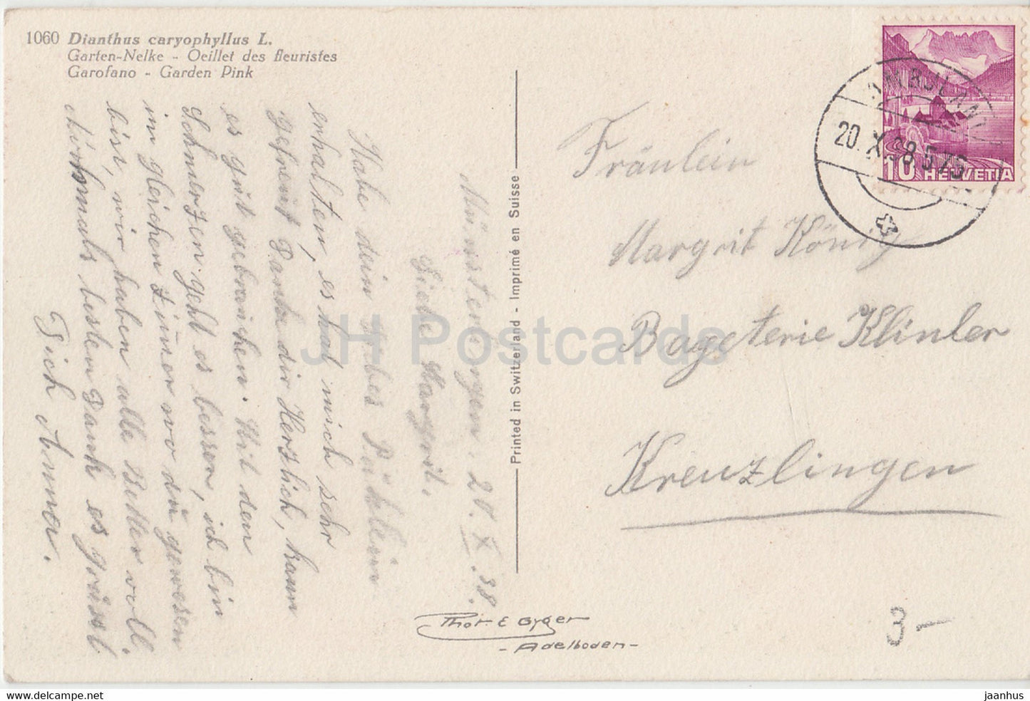 Dianthus caryophyllus - Garten Nelke - Garden Pink - Blumen - 1060 - alte Postkarte - 1938 - Schweiz - gebraucht