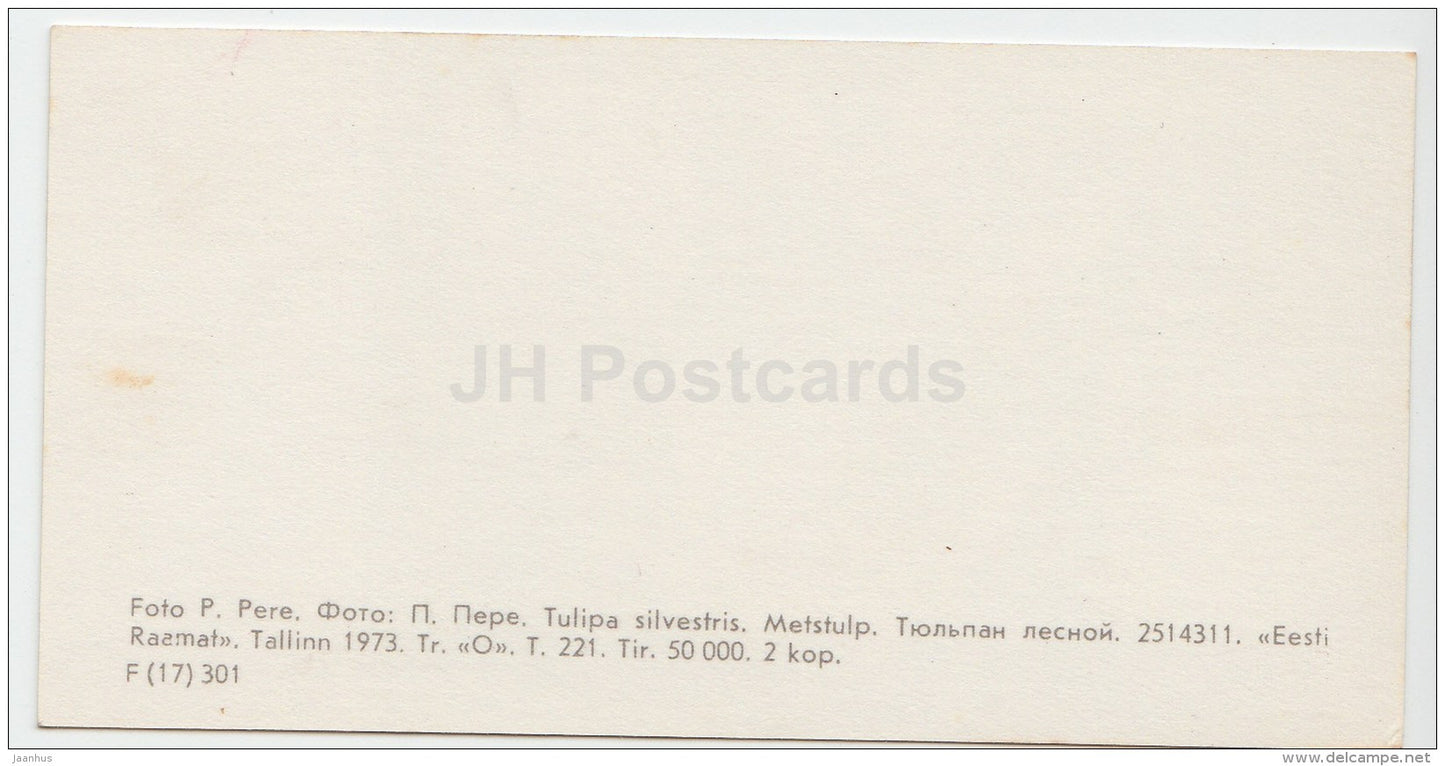mini Birthday greeting card - Tulipa silvestris - tulip - flowers - 1973 - Estonia USSR - unused - JH Postcards