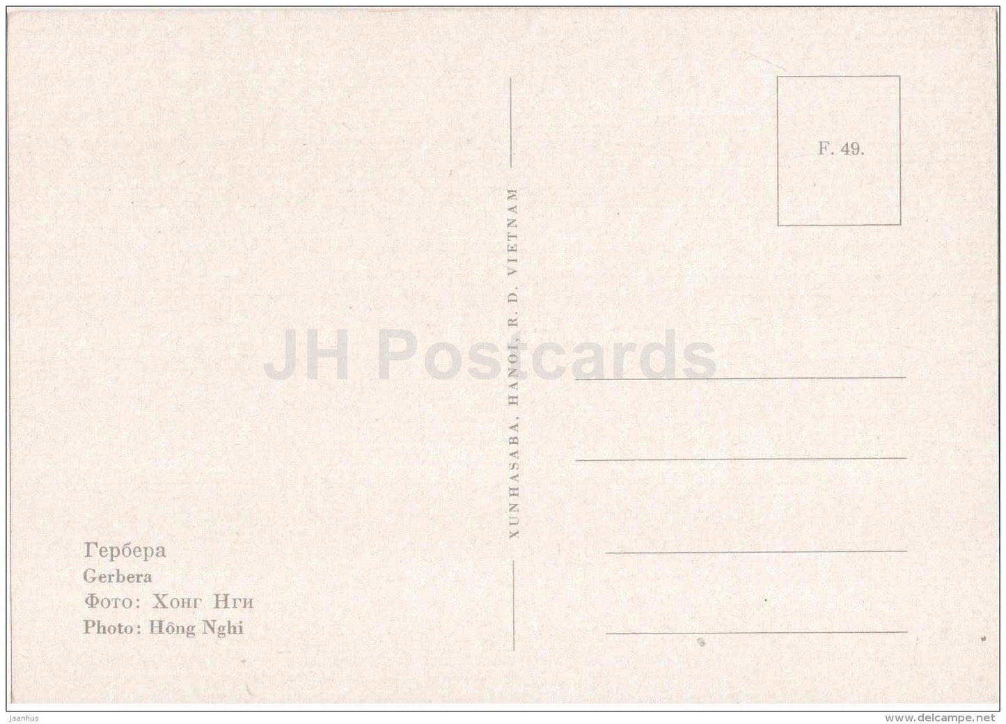 Gerbera - flowers - Vietnam - unused - JH Postcards