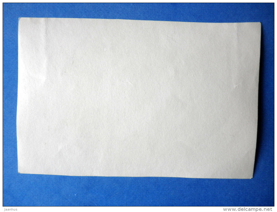 Alla Larionova - russian movie actress - USSR Russia - old photo card - unused - JH Postcards