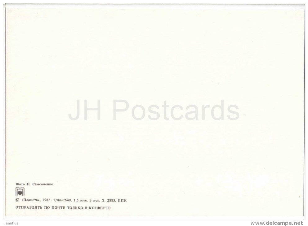 New Year Greeting Card - winter landscape - birch and fir trees - 1986 - Russia USSR - unused - JH Postcards