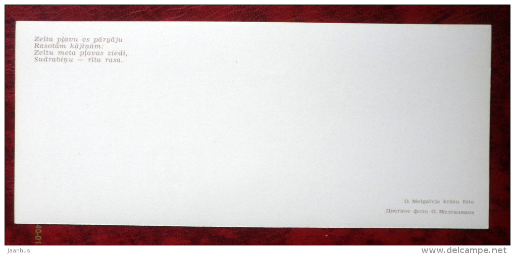 Latvian views - DANDELIONS - 1980 - Latvia USSR - unused - JH Postcards