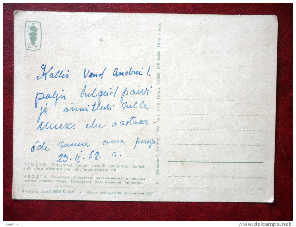 Eurasian Golden Oriole - Oriolus oriolus - Birds - 1962 - Estonia USSR - used - JH Postcards