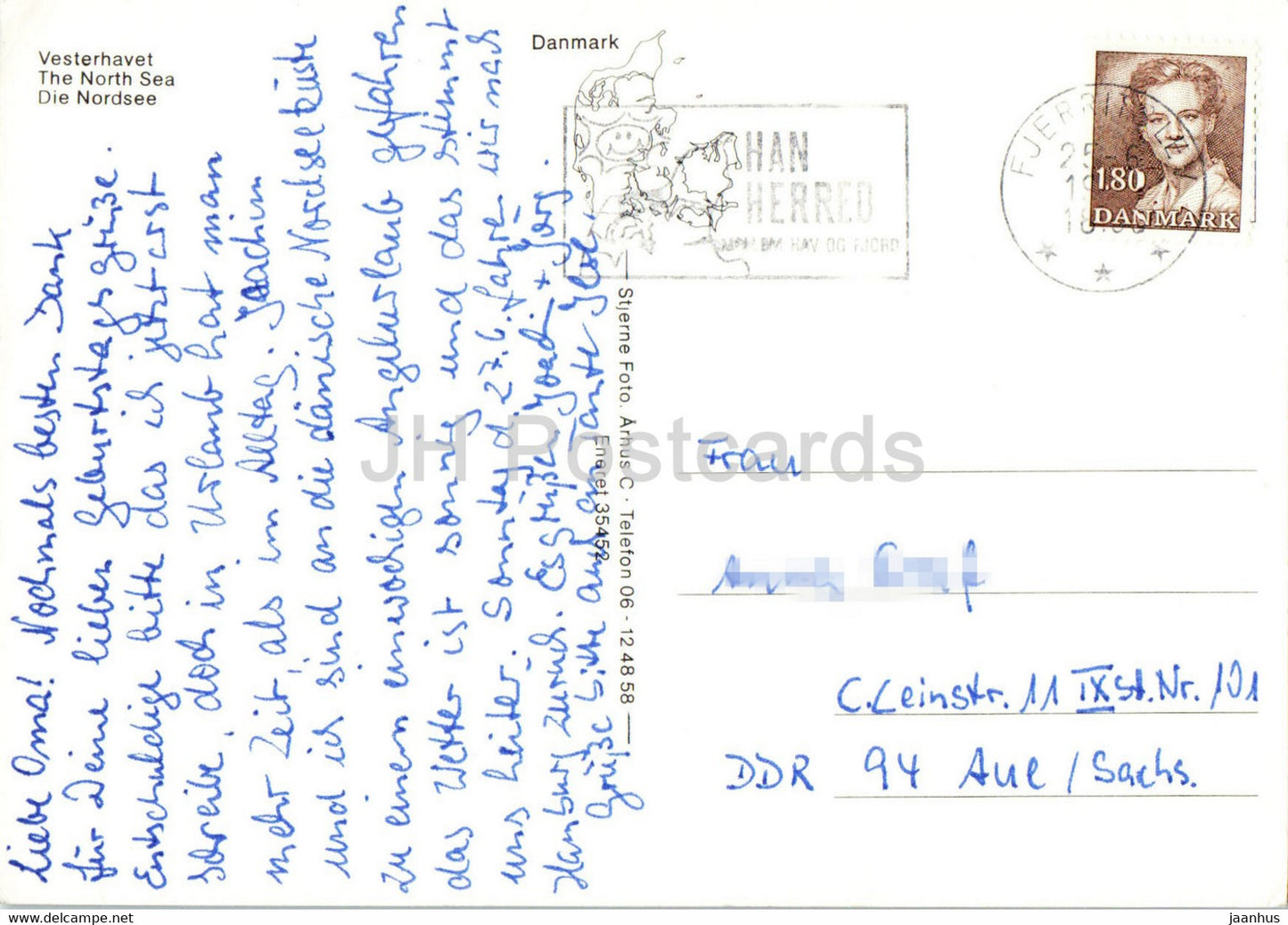 Vesterhavet - North Sea - horse - Denmark - used