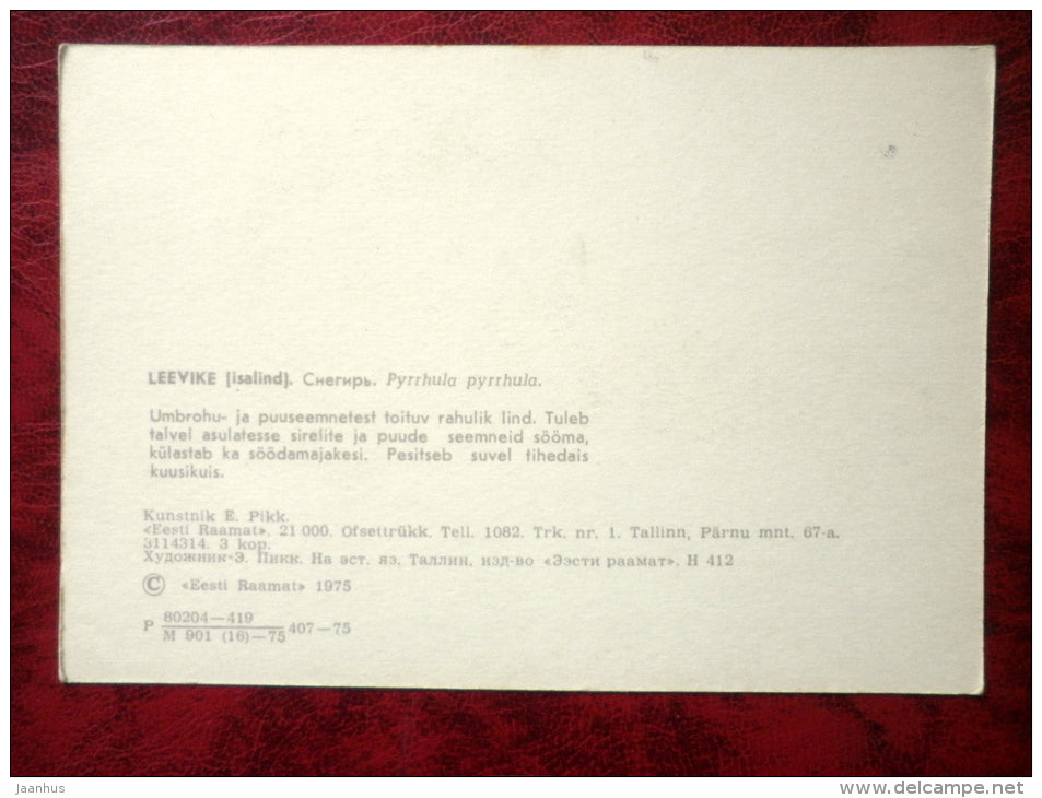 Eurasian Bullfinch - Pyrrhula pyrrhula - birds - 1975 - Estonia - USSR - unused - JH Postcards