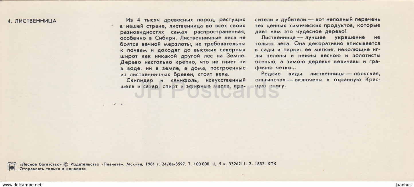 Larch - Forest Wealth - 1981 - Russia USSR - unused