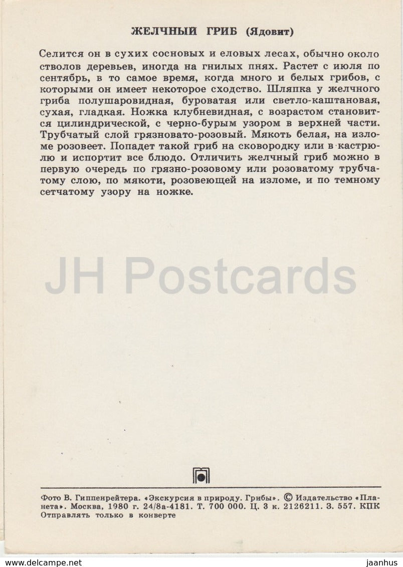 Bitter bolete Mushroom - Tylopilus felleus - Mushrooms - 1980 - Russia USSR - unused - JH Postcards