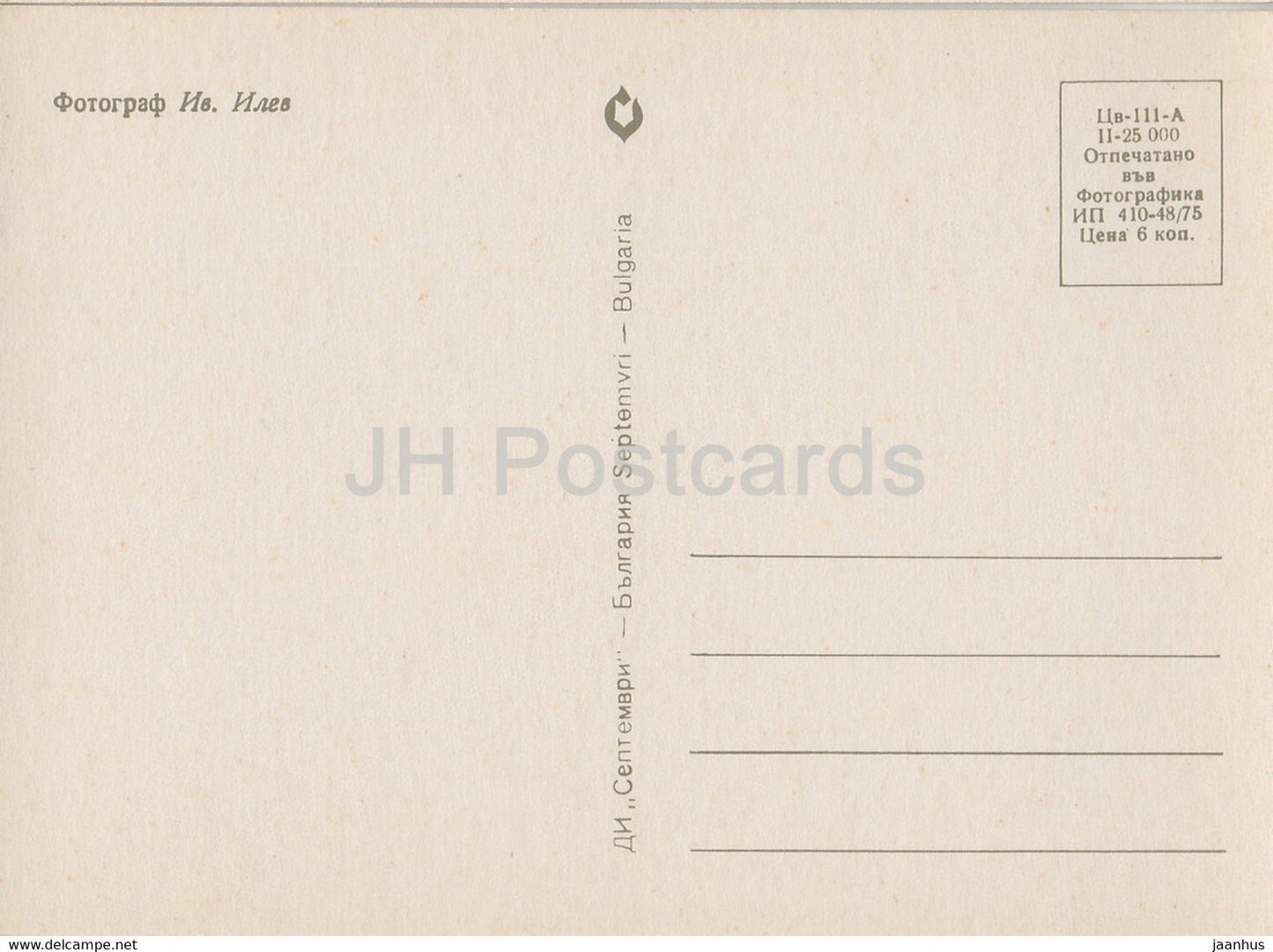 Rose rouge - fleurs - plantes - Bulgarie - inutilisée