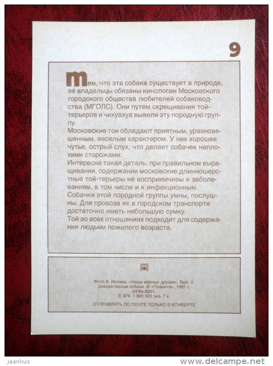 Moscow longhaired Toy Terrier - dogs - 1991 - Russia - USSR - unused - JH Postcards