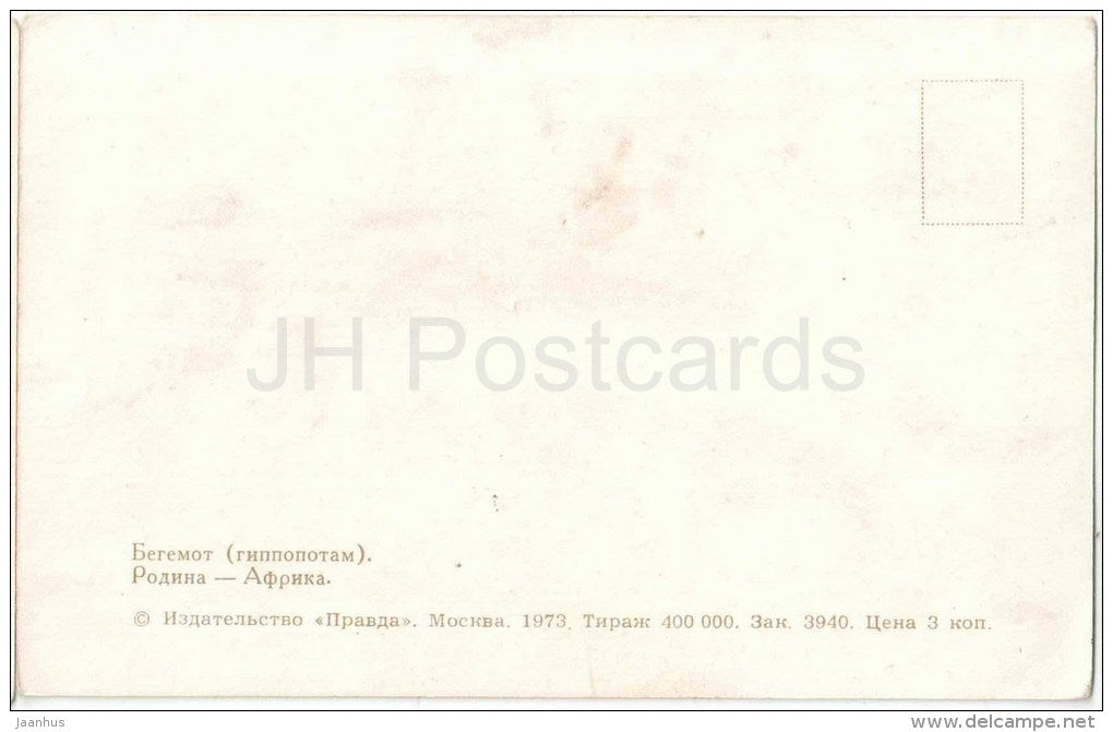 Hippopotamus - Hippopotamus amphibius - Zoo - 1973 - Russia USSR - unused - JH Postcards